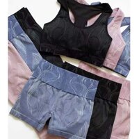 bộ tập yoga đồ tập yoga nữ, bộ đồ thể thao tập gym quần đùi áo bra dệt kim cao cấp SET06
