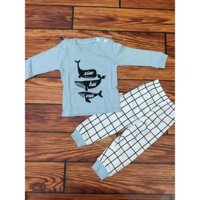 Bộ tay dài xanh cá heo 6-26kg