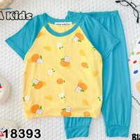 Bộ tay ngắn quần dài thun lạnh cho bé