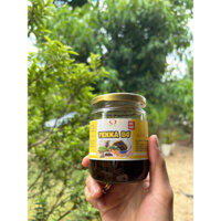 Bơ tekka ăn trực tiếp