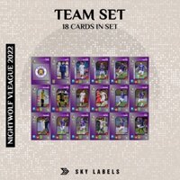 Bộ thẻ cầu thủ bóng đá VLeague 2022 | 18 thẻ