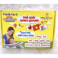 Bộ Thẻ Học Thông Minh 14 Chủ Đề loại To Song Ngữ Tiếng Anh Loại Chuẩn Glenn Doman Flashcard Cho Bé Từ 0-6 Tuổi