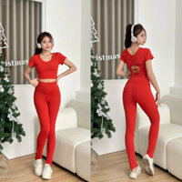 Bộ thể thao nữ tập gym yoga tay ngắn cut out lưng quần legging cao cấp