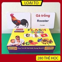 ❇Bộ Thẻ Thông Minh loại to Flashcard 19 Chủ Đề song ngữ tiếng Anh chuẩn Glenn Doman cho bé từ 0-6 tuổi