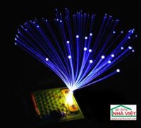 Bộ thí nghiệm đèn sợi quang học nhiều màu sắc DIY07