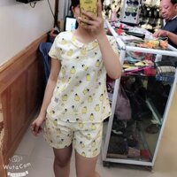 Bộ thô con vịt