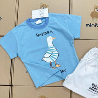 bộ thun con vịt