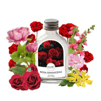 Bộ tinh dầu tán hương sang trọng Rosa Damascena  100ml