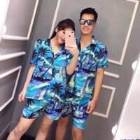 Bộ trái cây dừa xanh đi biển cho cả gia đình có  size  đủ