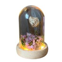 Bộ Trang Trí Hoa Khô Tre Chuông Thủy Tinh DIY