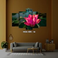 Bộ tranh Hoa sen 5 Tấm Dán tường cán Formex 5mm ( mã 10 - 18)