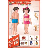 Bộ tranh treo tường 12 chủ đề