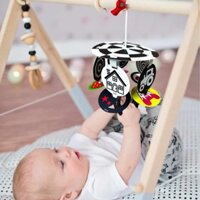 Bộ treo cũi đen trắng-màu cho bé thương hiệu Lalala Baby, 10 thẻ gắn nhãn theo độ tuổi