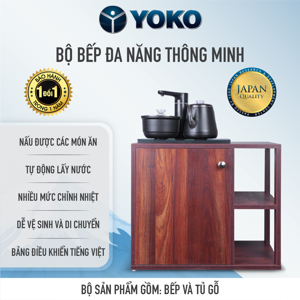 Bộ tủ bếp đôi thông minh YKC21B