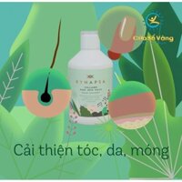 Bộ tứ xynapsa cửa sổ vàng– bải thiện toàn diện cơ thể_ Cửa Sổ Vàng HN