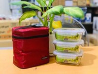 Bộ Túi Hộp Cơm Thủy Tinh Chịu Nhiệt Lock&amp;Lock LLG422S4DR - Màu Đỏ