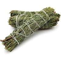 Bó Tuyết Tùng (Cedar Sage)