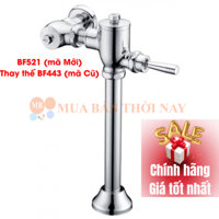 Bộ Van xả bồn cầu gạt Caesar BF443 (mã cũ) BF521 (mã Mới) dùng cho bàn cầu xổm CD1333, phù hợp các nhà máy, phân xưởng