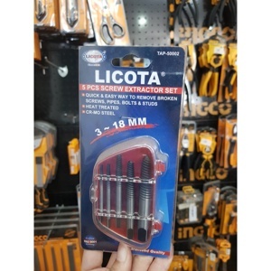 Bộ vít mở ốc gãy Licota TAP-50002
