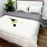 Bộ Vỏ Chăn Ga Tencel Ice 4 Món Basic Trẻ Trung Màu Xinh Xắn Cá Tính Thanh Lịch Mát Mẻ.