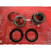Bộ vòng bi cổ phốt xe TRK502 BN600 BN302 (Vòng bi côn)