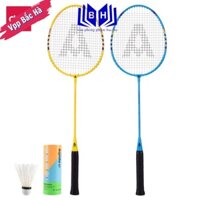 Bộ Vợt cầu lông kim loại tổng hợp sắt + hộp 3 quả cầu lông Deli WF2101 ( F2101 )