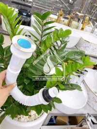 Bộ xả lavabo inox 304 ấn dây nhựa rút