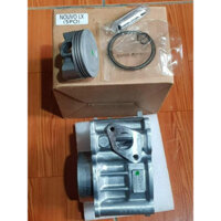 Bộ Xi lanh (Nòng) + Piston + xéc măng (bạc) Nouvo LX