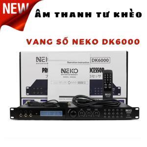 Bộ xử lý tín hiệu DX-PRO DK 6000