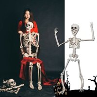 Bộ xương nhựa trang trí Halloween 90cm 170cm 185cm tỉ lệ 1:1