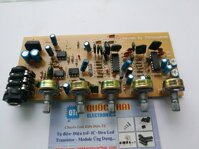 BOARD ECHO LIỀN MIC V3.0