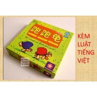 BOARD GAME ĐUA RÙA- CUỘC ĐUA KÌ THÚ