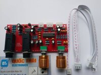 BOARD KARAOKE 2 MIC + ECHO PT2399 ĐIÊN ÁP 12V-24V DC