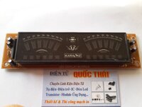 BOARD LED NHÁY THEO NHẠC 2 KÊNH (12VDC)