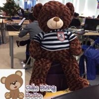 [BOBO] Gấu bông teddy khổ 1m cao 80cm hàng VNXK
