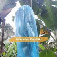 Bọc trái cây Thanh Hà, túi nilon bọc chuối chất lượng cao kích thước 70x140cm