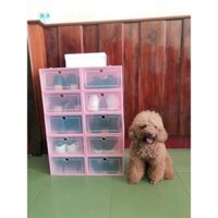 [Bocstore] Combo 10 hộp giày trong suốt bằng nhựa cứng