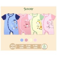 Body đùi bamboo Dokma