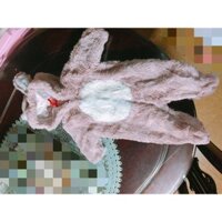 Body lông xuất dư