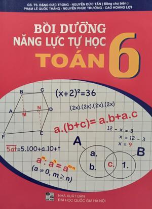 Bồi dưỡng năng lực tự học Toán 6