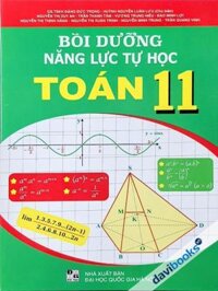 Bồi Dưỡng Năng Lực Tự Học Toán 11 (Bộ SGK Hiện Hành)