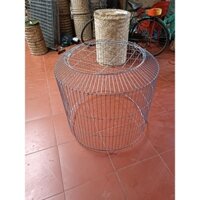 bội gà vip nan dọc 80cm