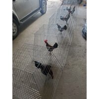 BỘI THÁP, BỘI VUÔNG  [hàng ráp sẳn].bội vuong úp gà , bội  gà vuông