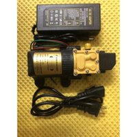 Bơm Áp Lực Mini 12V Sinleader kèm nguồn adapter 5a