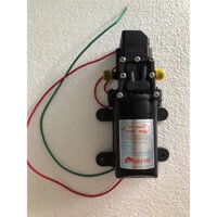 Bơm bình phun thuốc trừ sâu 12V (9-14V) 5A