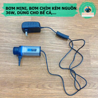 Bơm chìm mini 36W sử dụng cho bể cá thủy canh, bàn cắt mòi, kèm nguồn 12V 3A - Thanh Tùng 68