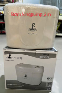 BƠM KINGPUMP SMALL HIPPO 3M