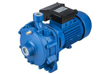 Máy bơm ly tâm trục ngang đầu gang Ebara CDA 2.00M 2HP