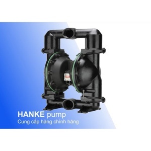 Bơm màng Aro 666320-EEB-C