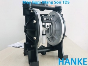 Bơm màng khí nén TDS DS06-AAT-TATS-02